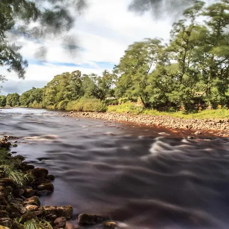 펜션 Frog House 리스