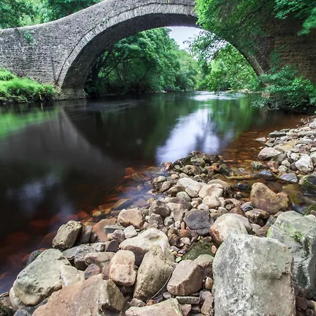 펜션 Frog House 리스