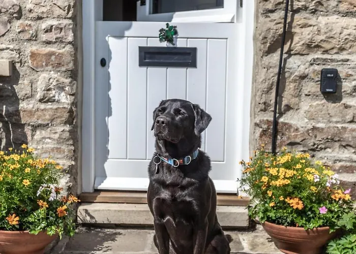 度假居 2 Bed In High Fremington Oc-ds375 里斯